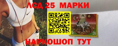 индика Ставрополь