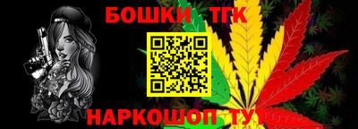 индика Ставрополь