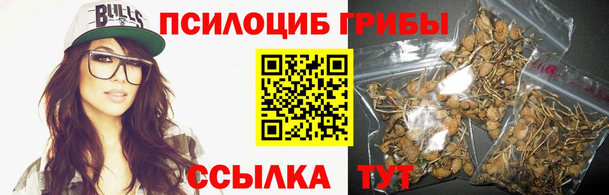 Минусинск  Псилоцибиновые грибы мухоморы  Вход с VPN 